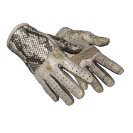 ★ Driver Gloves | King Snake (Well-Worn)