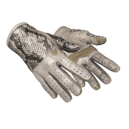 ★ Driver Gloves | King Snake (Well-Worn)