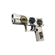 P250 | Whiteout (Minimal Wear)