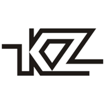KZ Earphones