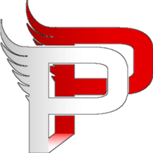 PolishPower