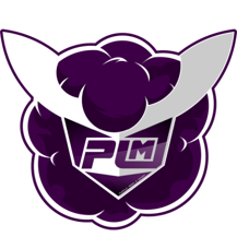 Purple Mood Esports