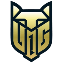 V1dar Gaming