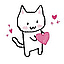 kitty