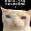 suip