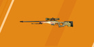 The Best AWP Skins in CS2 (According to the Pros)