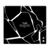 Aunkere Gear x Team Spirit Cracked