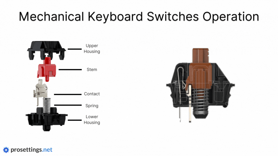 Analog Switches in Keyboards Explained - ProSettings.net