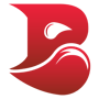 Bleed eSports