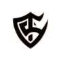 Team Solid