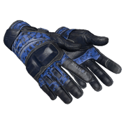 ★ Moto Gloves | Polygon (Field-Tested)