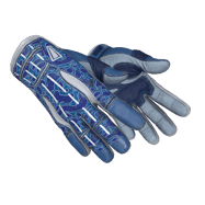 ★ Sport Gloves | Amphibious (Factory New)