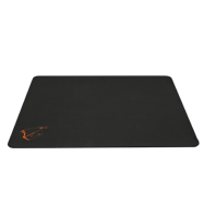 GIGABYTE AORUS AMP500