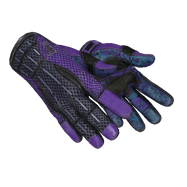 ★ Sport Gloves | Pandora’s Box (Well-Worn)