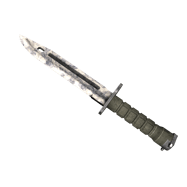 ★ Bayonet | Stained (Well-Worn)