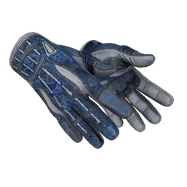 ★ Sport Gloves | Amphibious (Battle-Scarred)