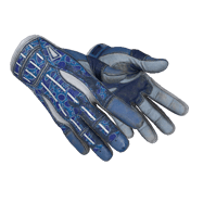 ★ Sport Gloves | Amphibious (Field-Tested)
