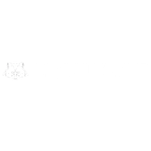 ProSleeves