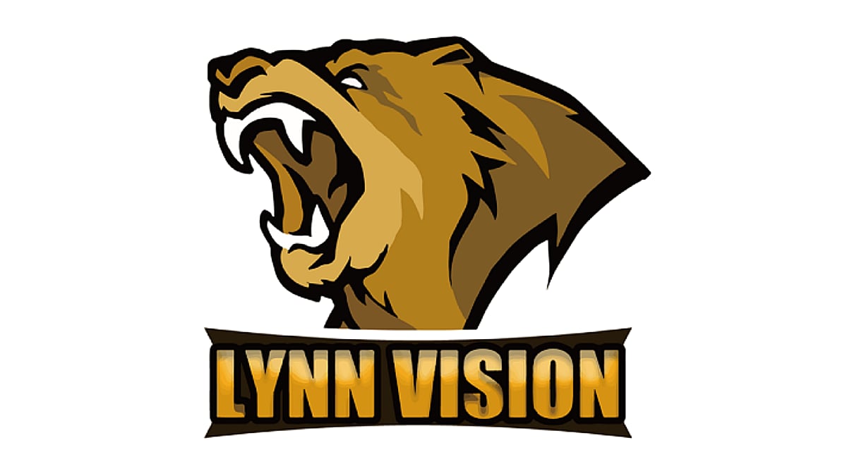 Lynn vision cs go. Lynn Vision.