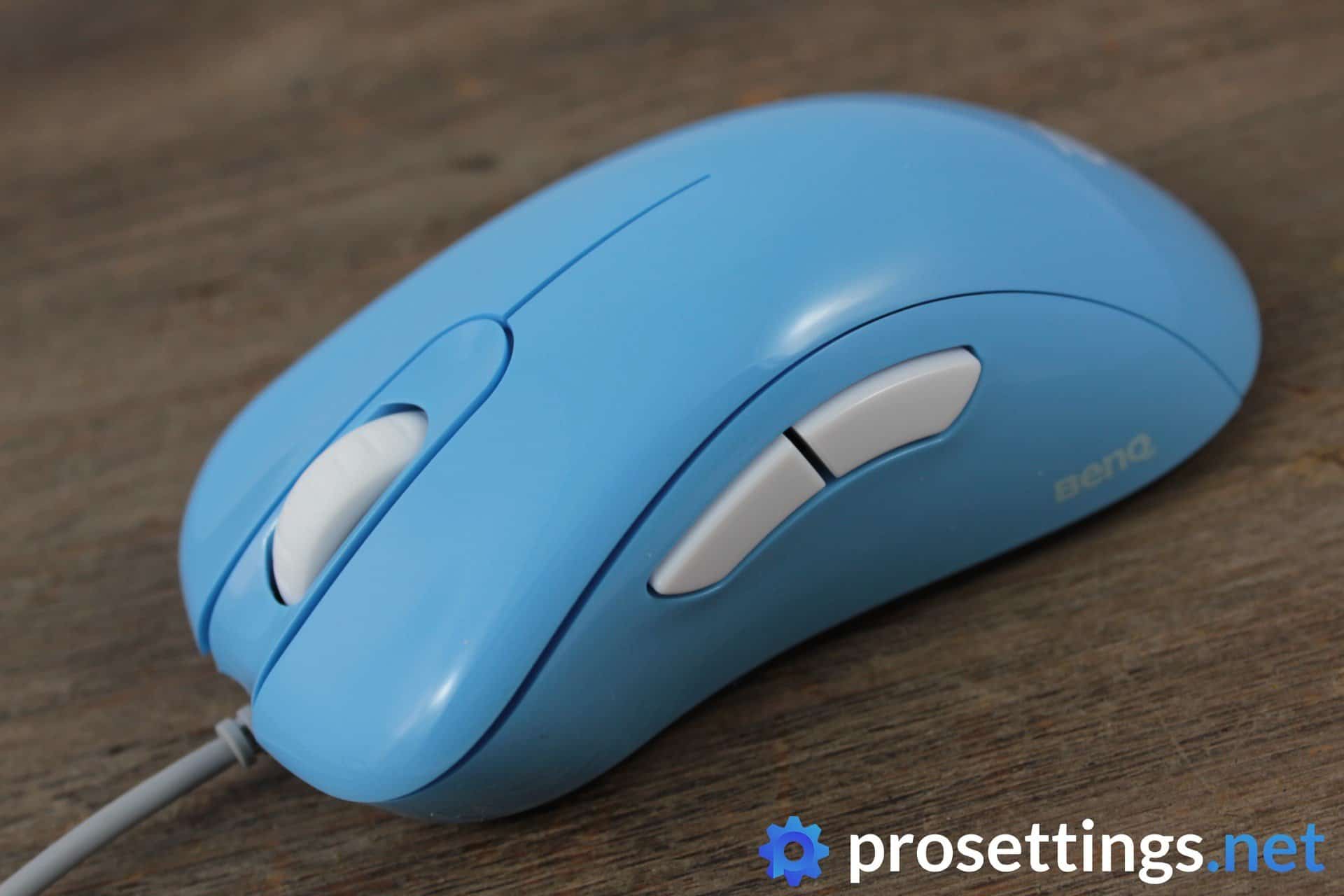 Zowie EC2-B Divina Mouse Review
