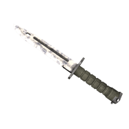 ★ Bayonet | Stained (Well-Worn)