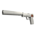USP-S | Whiteout