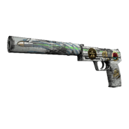Souvenir USP-S | Road Rash (Field-Tested)