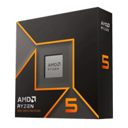 AMD Ryzen 5 9600X