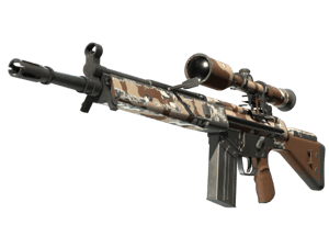 G3SG1 | Desert Storm (Field-Tested)