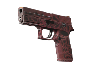 StatTrak™ P250 | Contaminant (Minimal Wear)