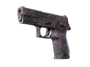 P250 | Plum Netting (Field-Tested)