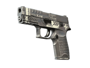 P250 | Re.built (Field-Tested)