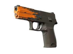 P250 | Splash (Minimal Wear)