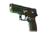 P250 | Visions (Minimal Wear)