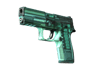 P250 | X-Ray (Field-Tested)
