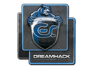 Sticker | ESC Gaming | DreamHack 2014