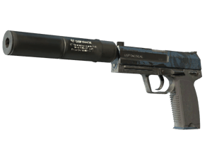 USP-S | Guardian (Field-Tested)