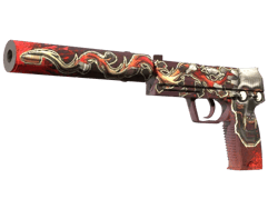 USP-S | Kill Confirmed