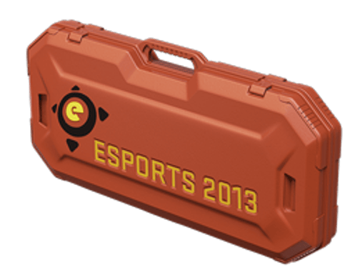 eSports 2013 Case