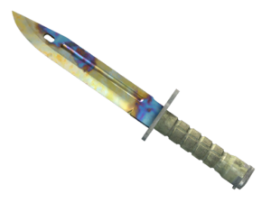★ Bayonet | Case Hardened