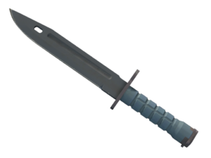 ★ Bayonet | Night