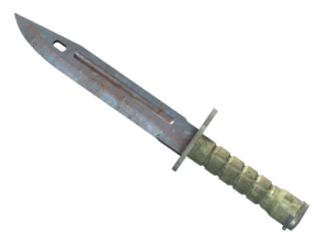 ★ Bayonet | Rust Coat