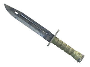 ★ Bayonet | Stained (Well-Worn)