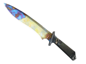 ★ Classic Knife | Case Hardened