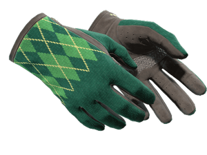 ★ Driver Gloves | Hand Sweaters (Minimal Wear)
