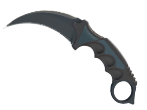 ★ Karambit | Night