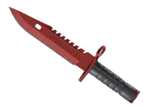★ M9 Bayonet | Crimson Web (Well-Worn)