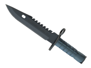 ★ M9 Bayonet | Night
