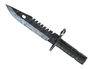 ★ M9 Bayonet | Stained