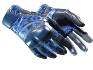 ★ Moto Gloves | Polygon (Field-Tested)